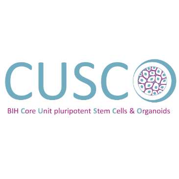 BIH Core Unit pluripotent Stem Cells & Organoids