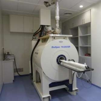 7T Experimental MRIs