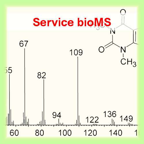bioMS measurements (bioMS - BSM)