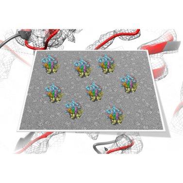 Core Facility for Cryo-Electron Microscopy