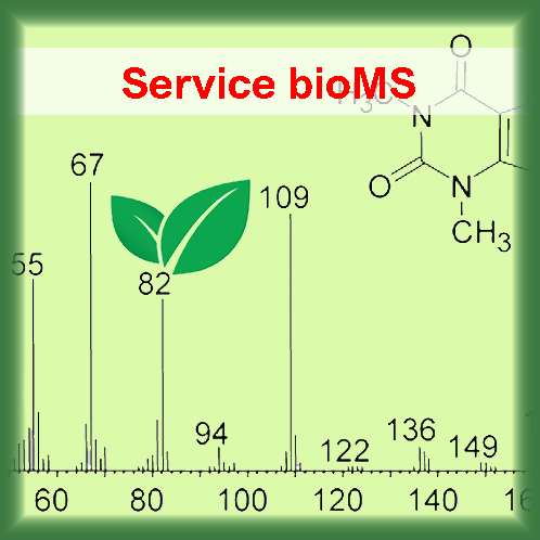 bioMS measurements (bioMS - BSM)