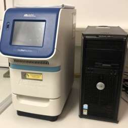 Real-Time PCR Machine (StepOne)